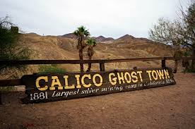 calico
