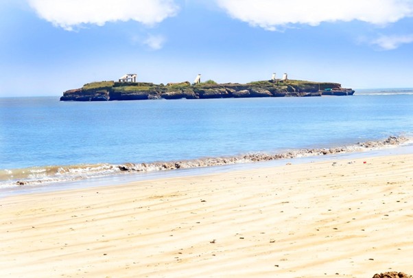 diu 001
