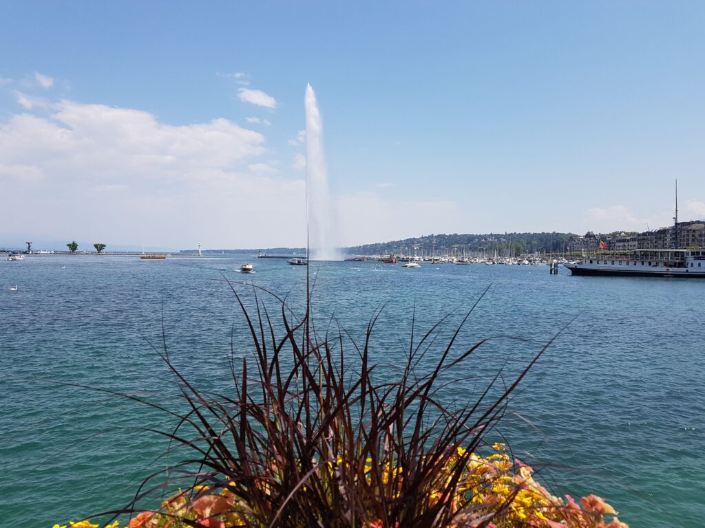 By Kontiki To Lourdes Day 06 June 06 2019