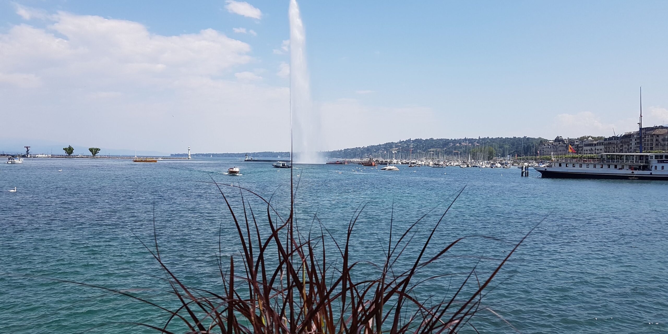 20190704_122538