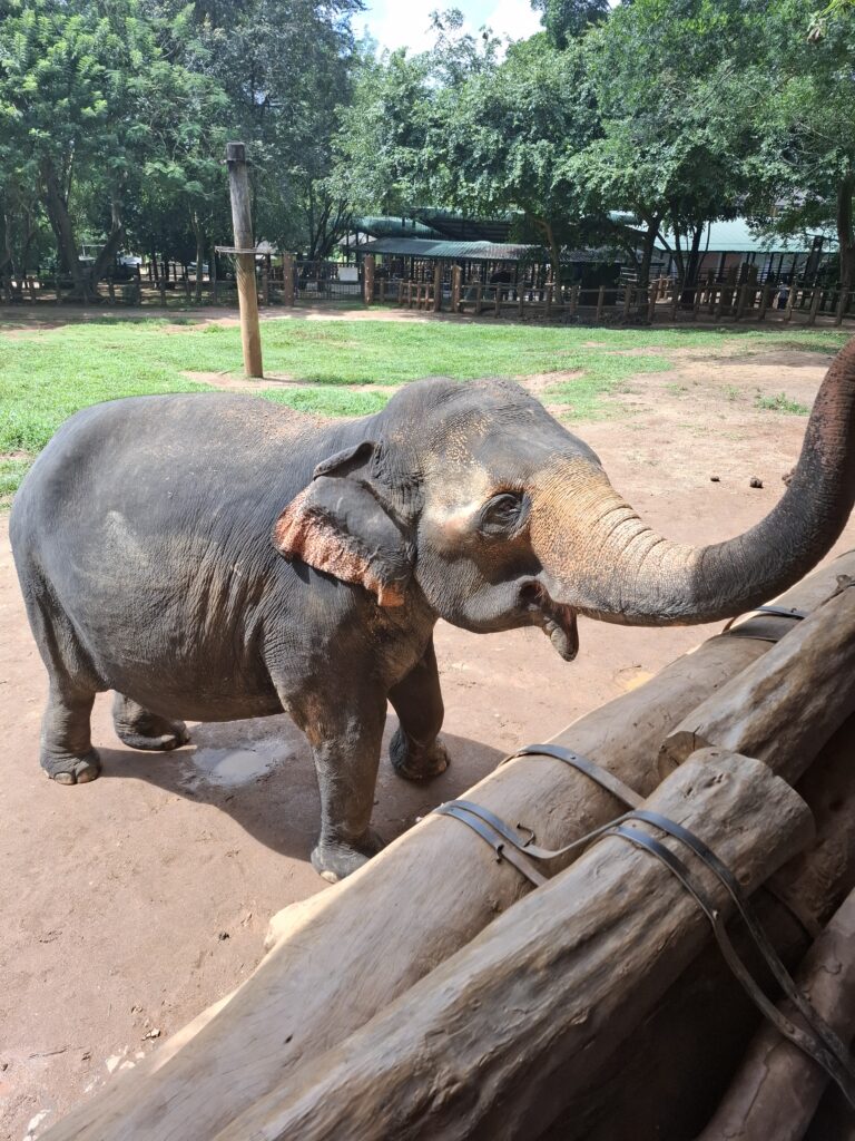 Sri Lanka Day 04-16 Oct 2024